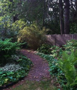 path on side of house