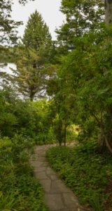 winding path, garden in falmouth